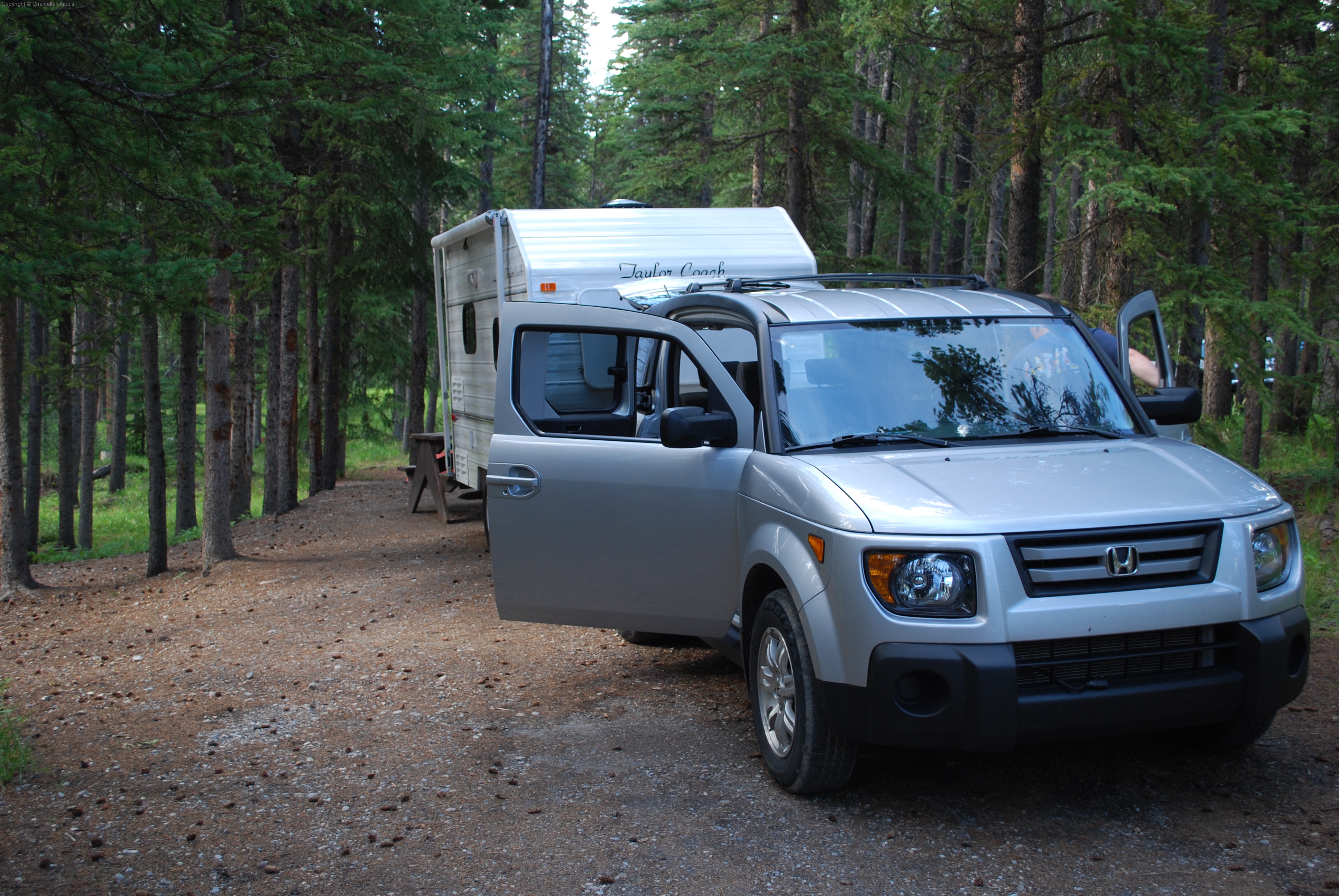 Element with Trailer