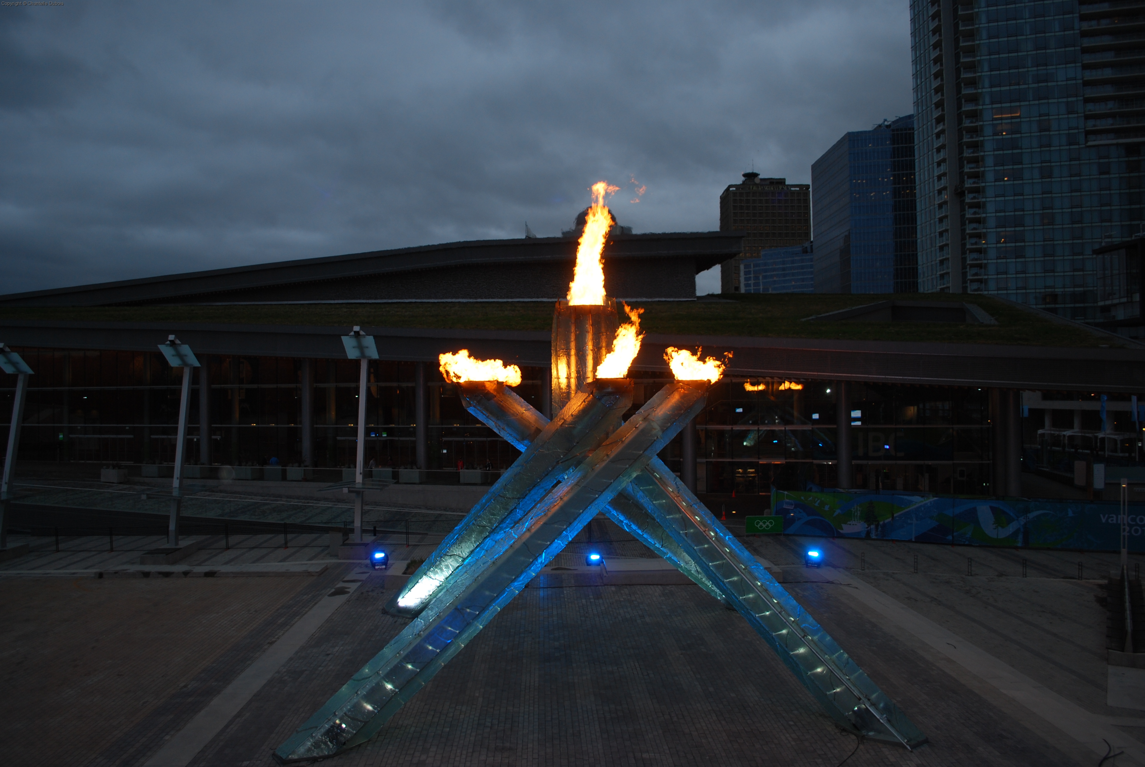 The Cauldron