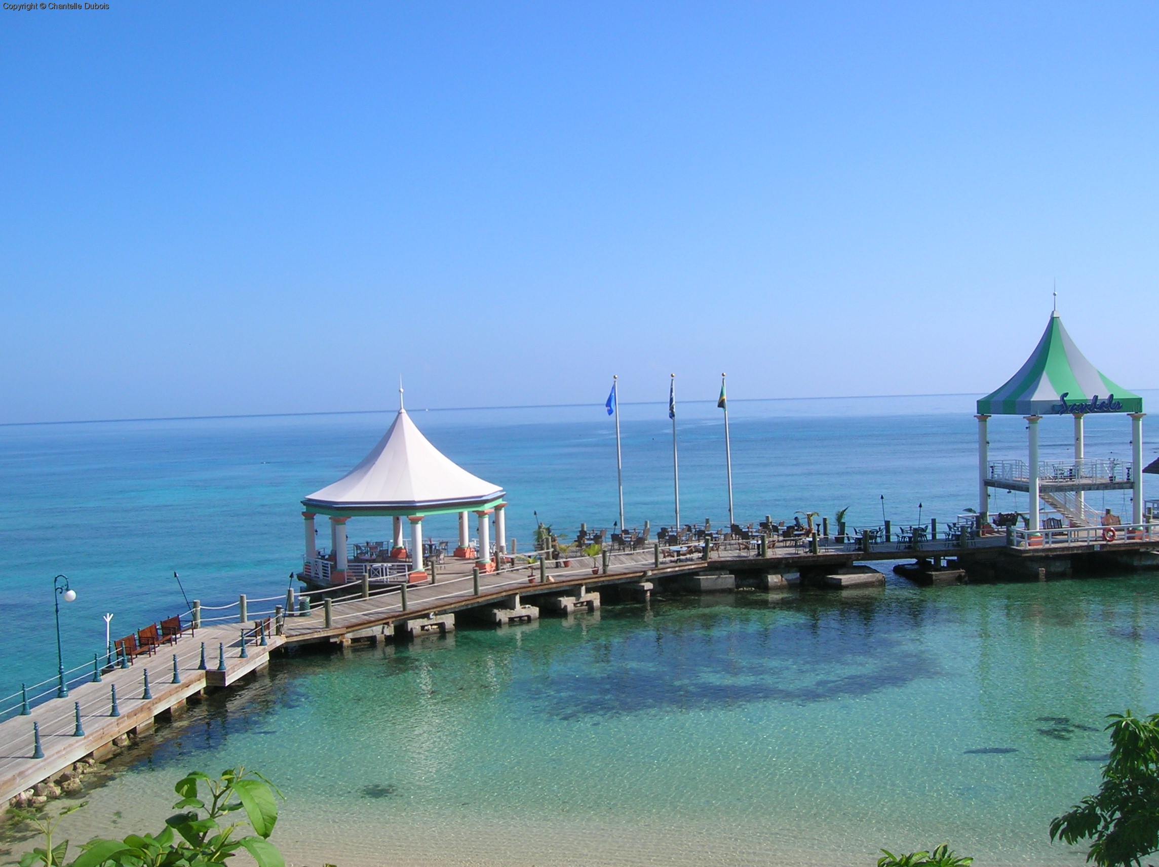 First Morning in Jamaica