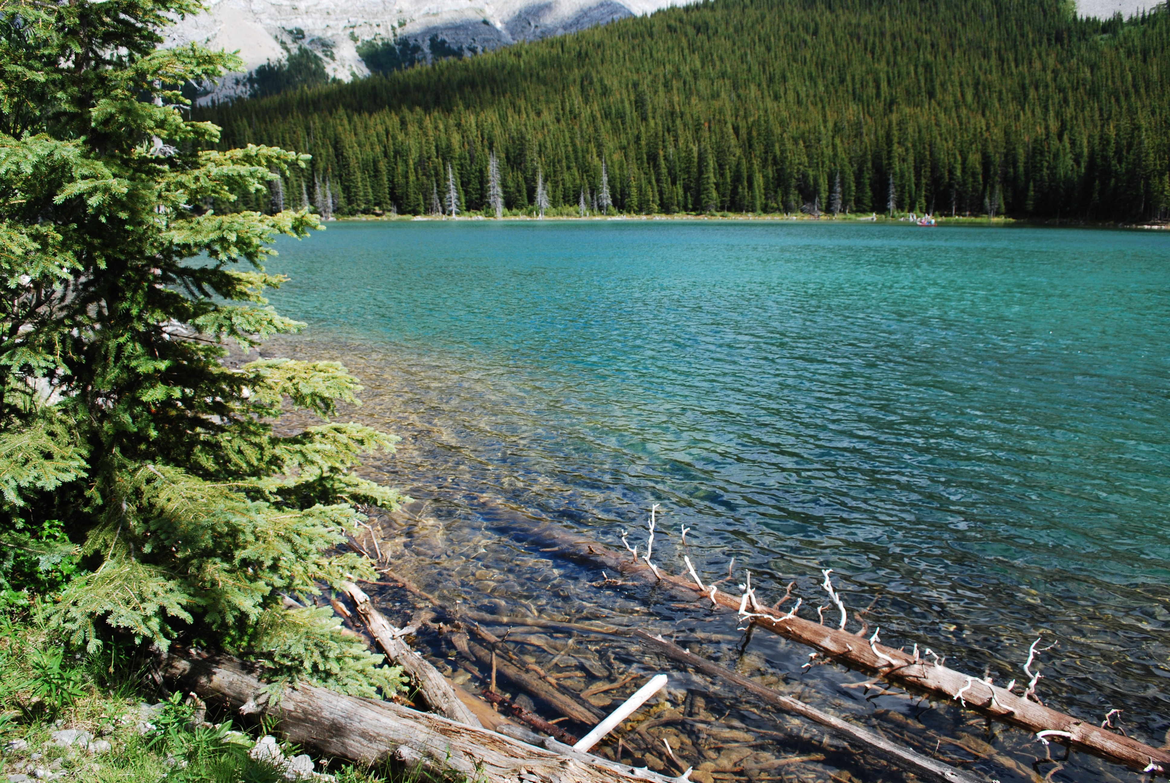Elbow Lake