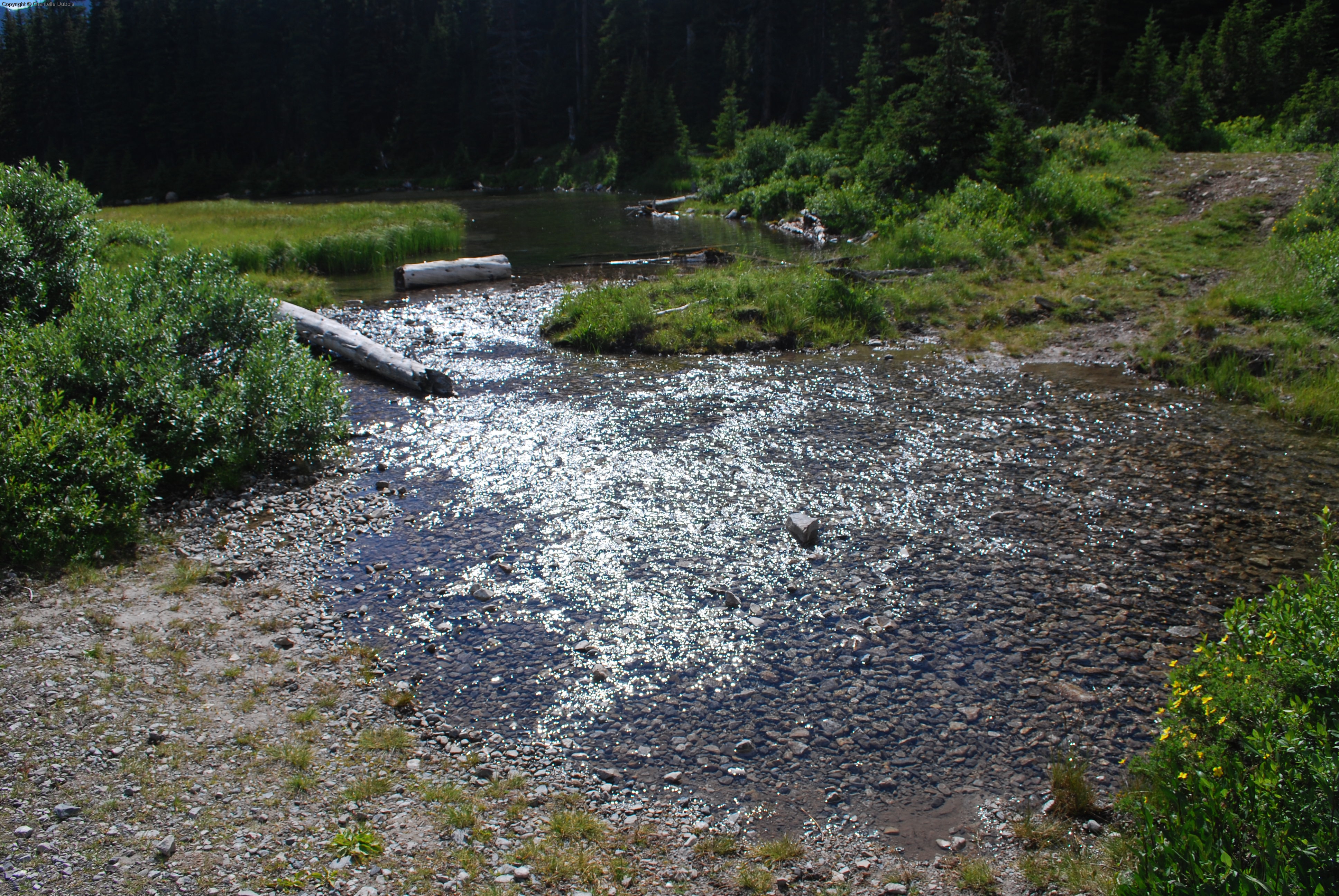 Elbow Lake Trail 5