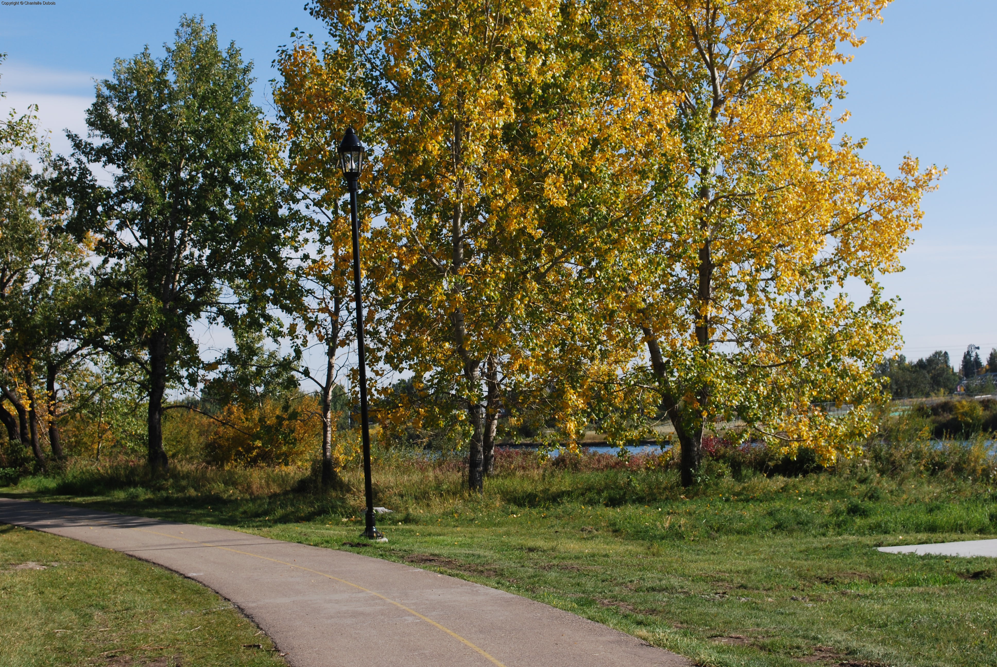 Paths by the Zoo