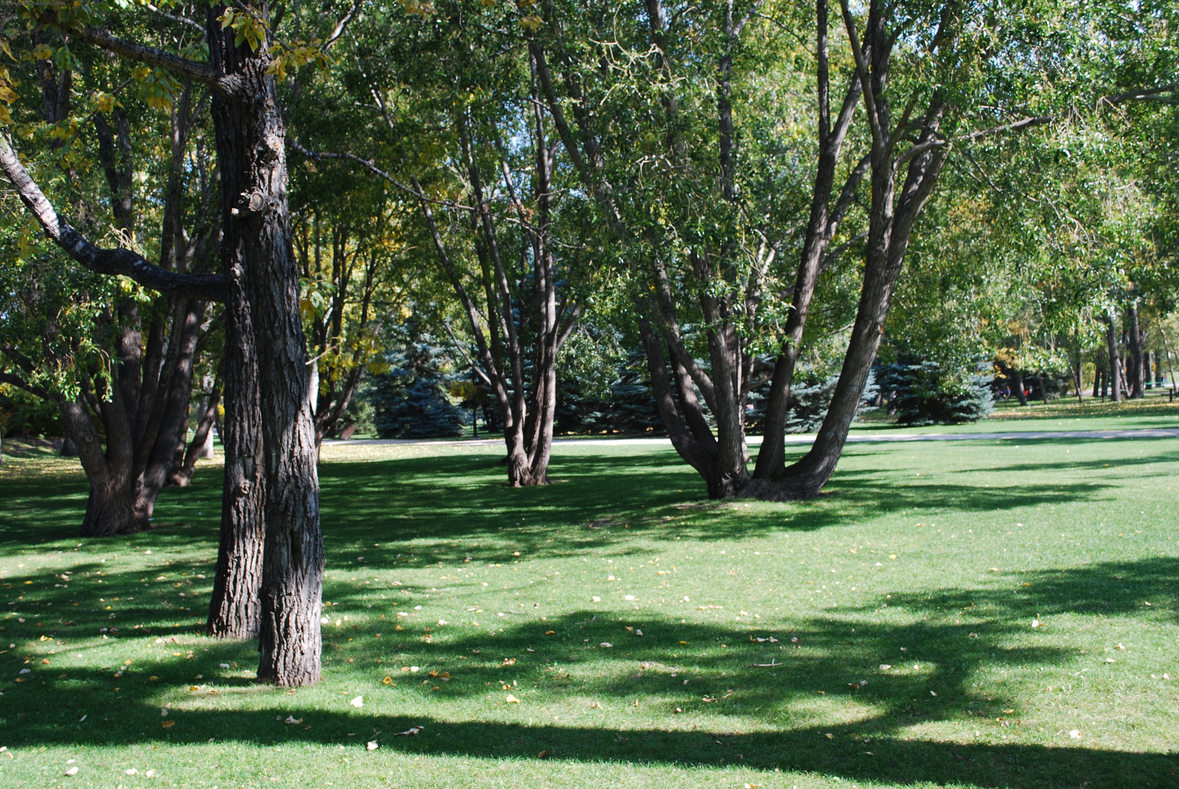 Prince's Island Park