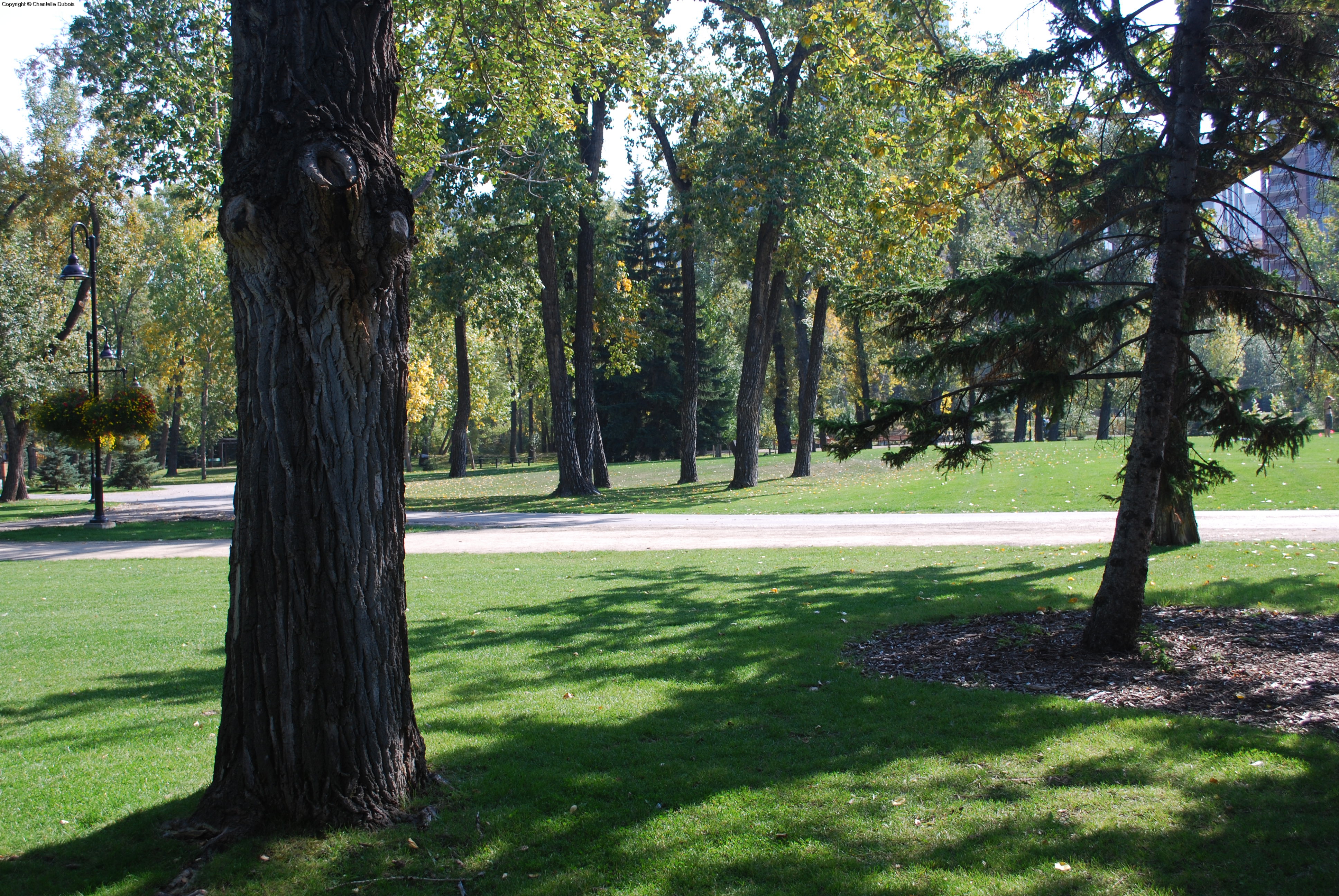 Prince's Island Park 2