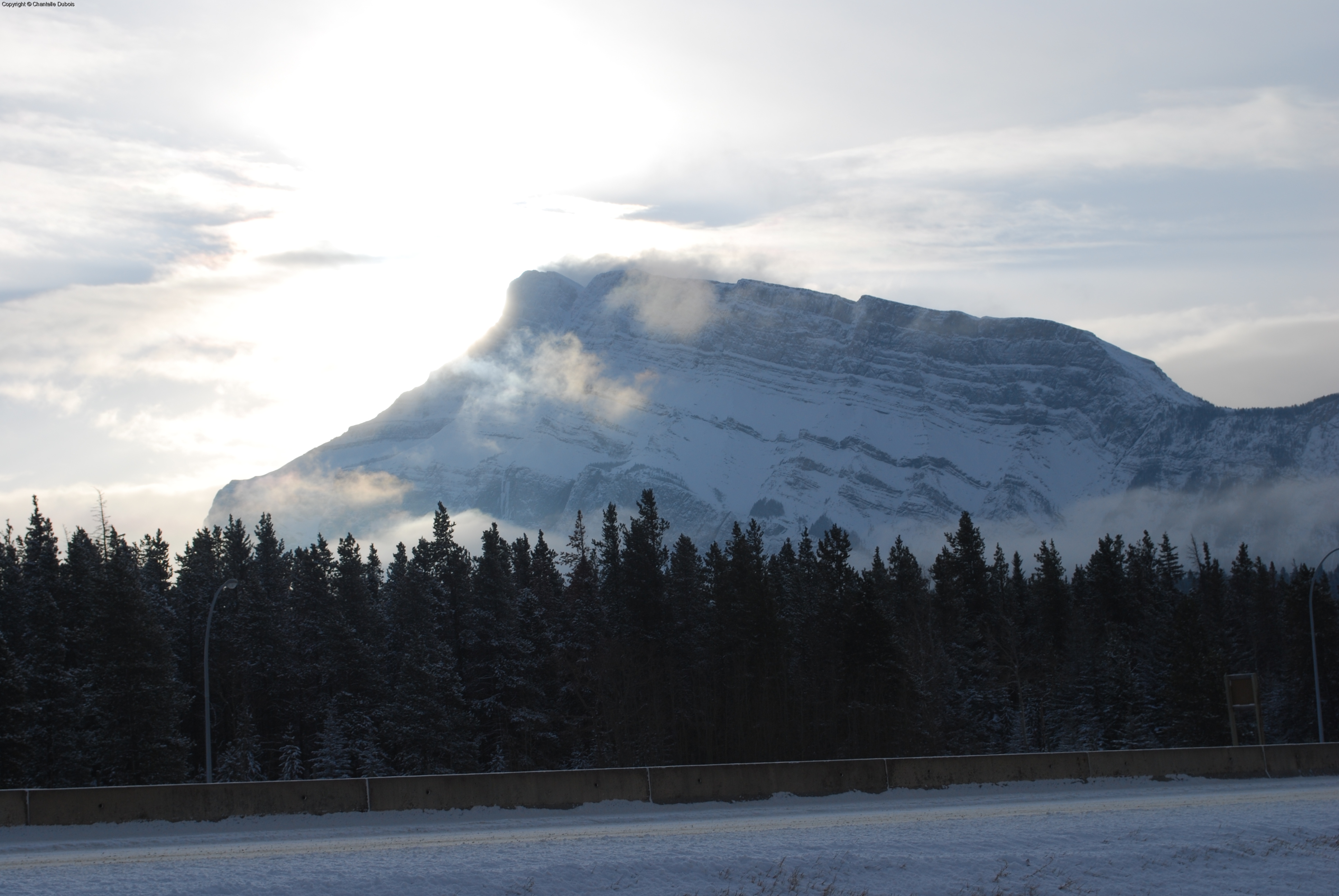 Mount Rundle - Dawn