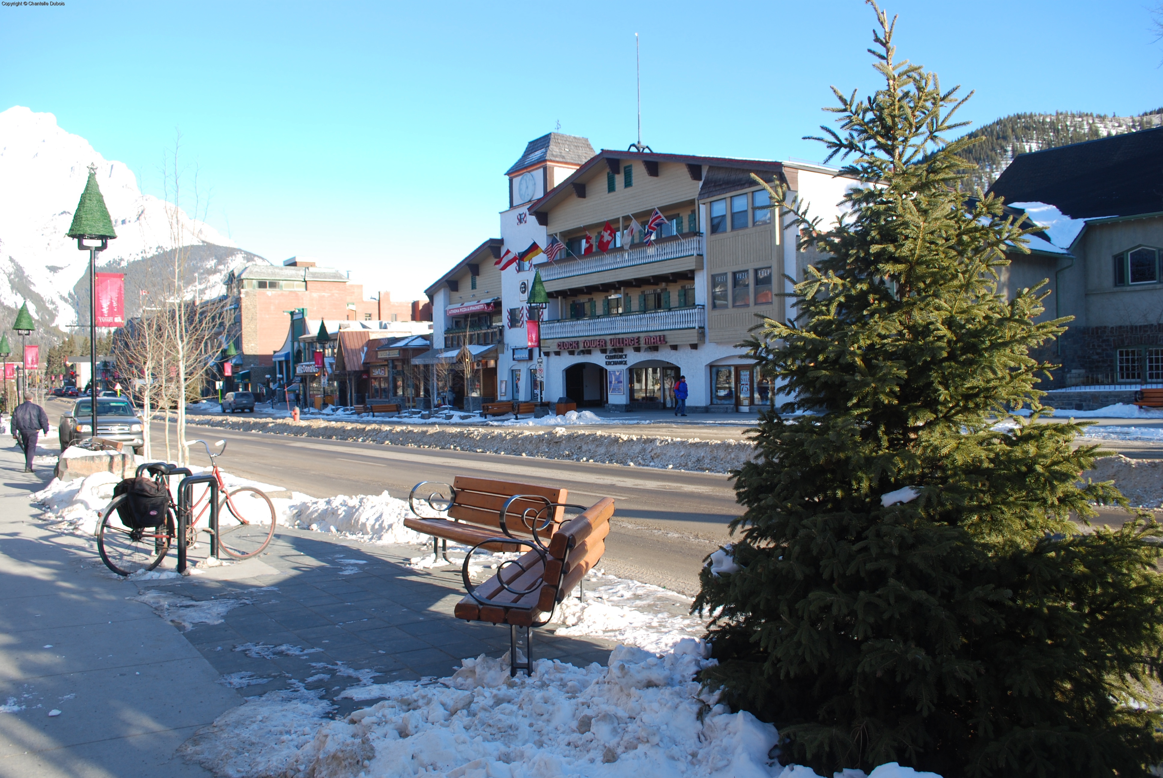 dsc_0021.jpg