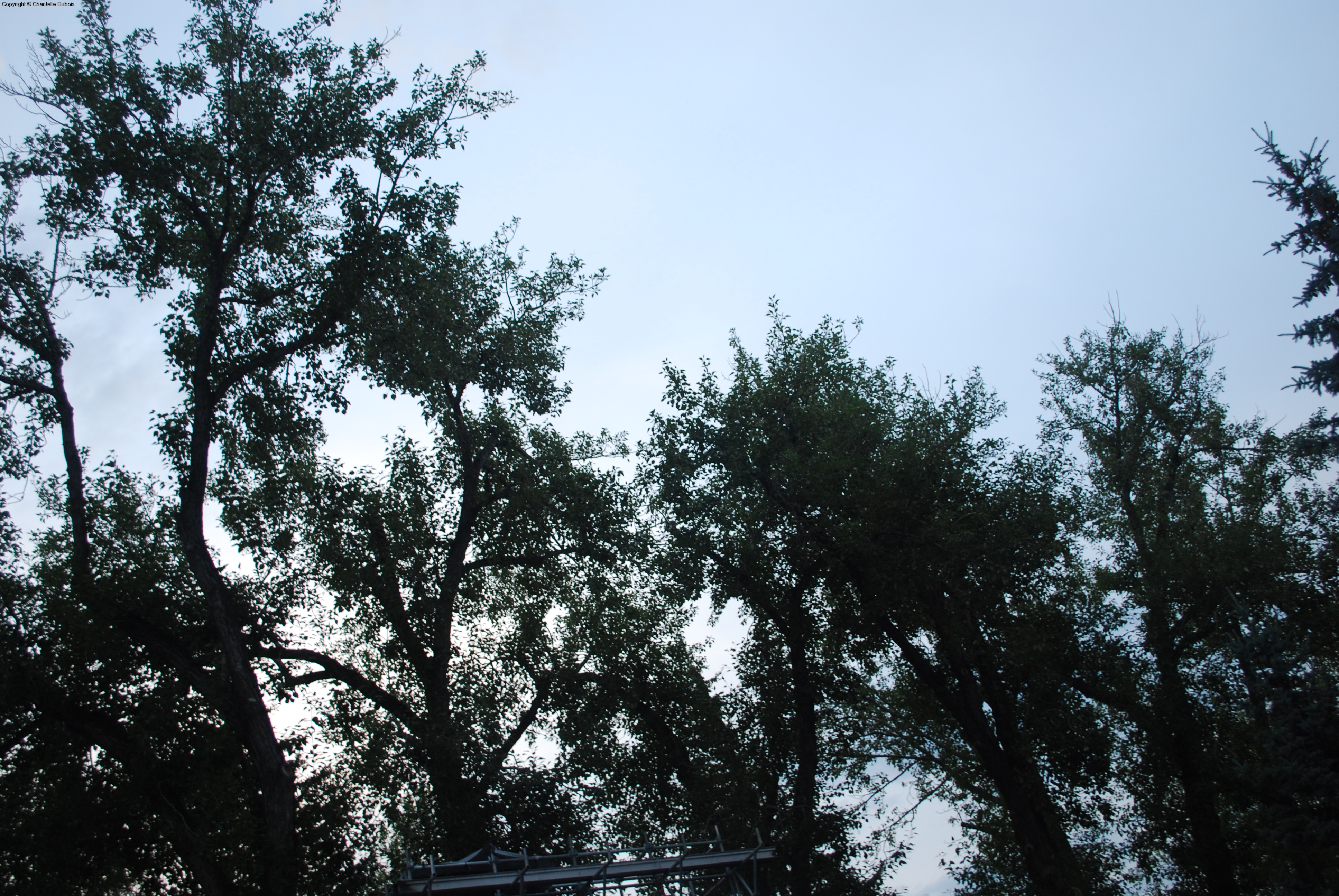 After the Rain