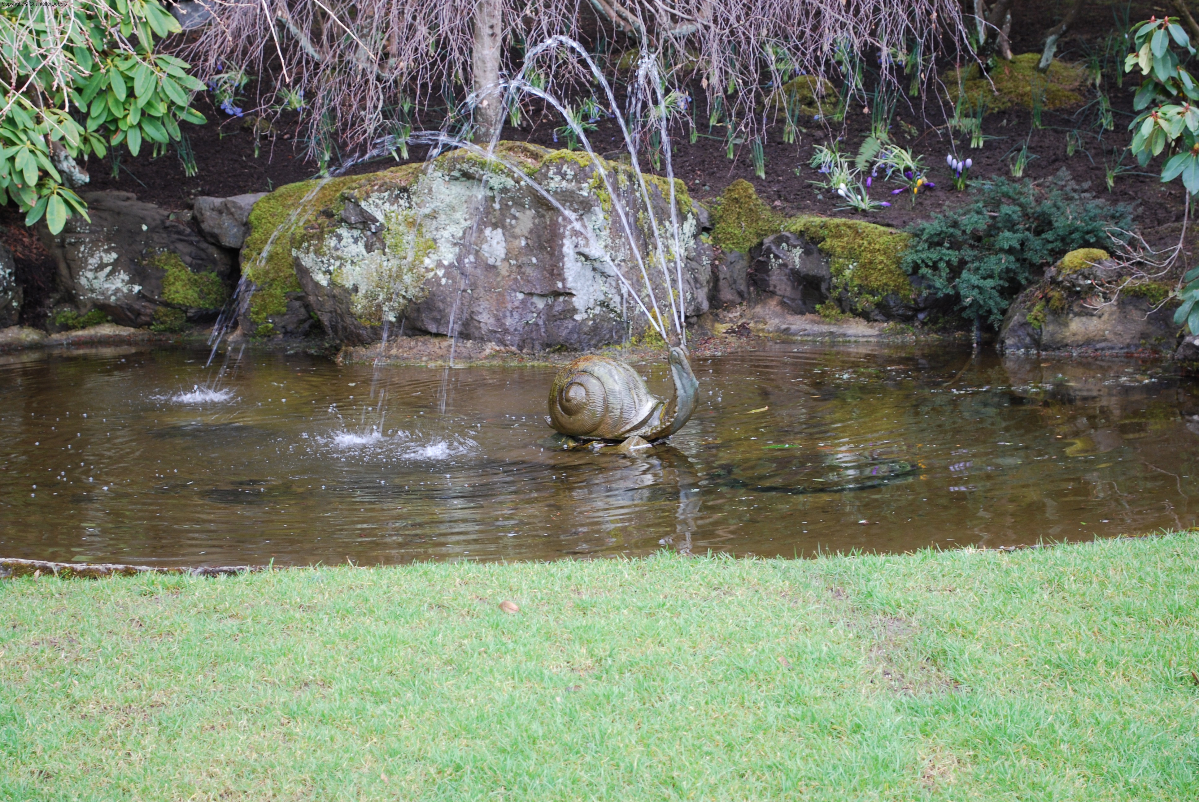 The Snail Fountain