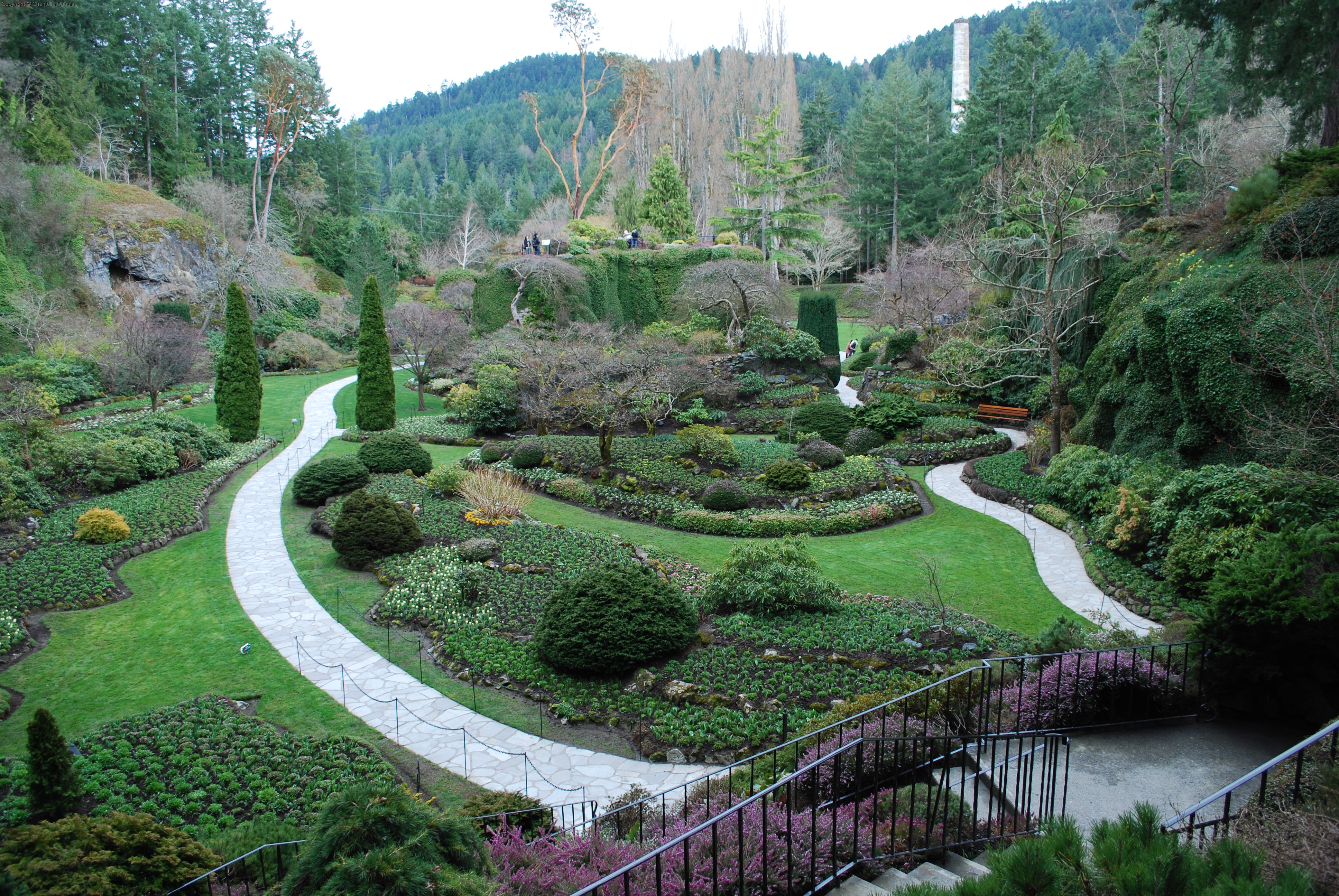 The Sunken Garden
