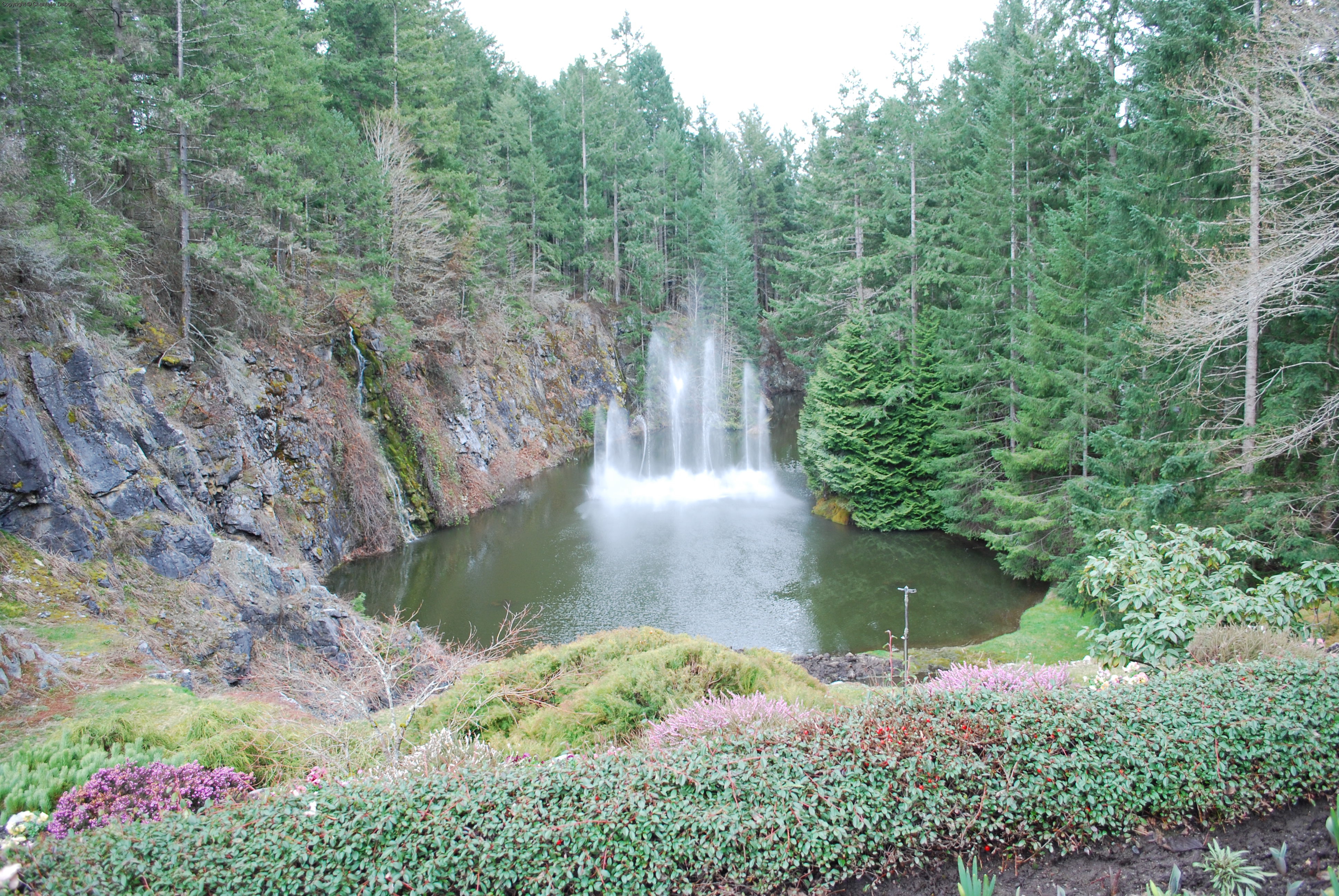 Fountain