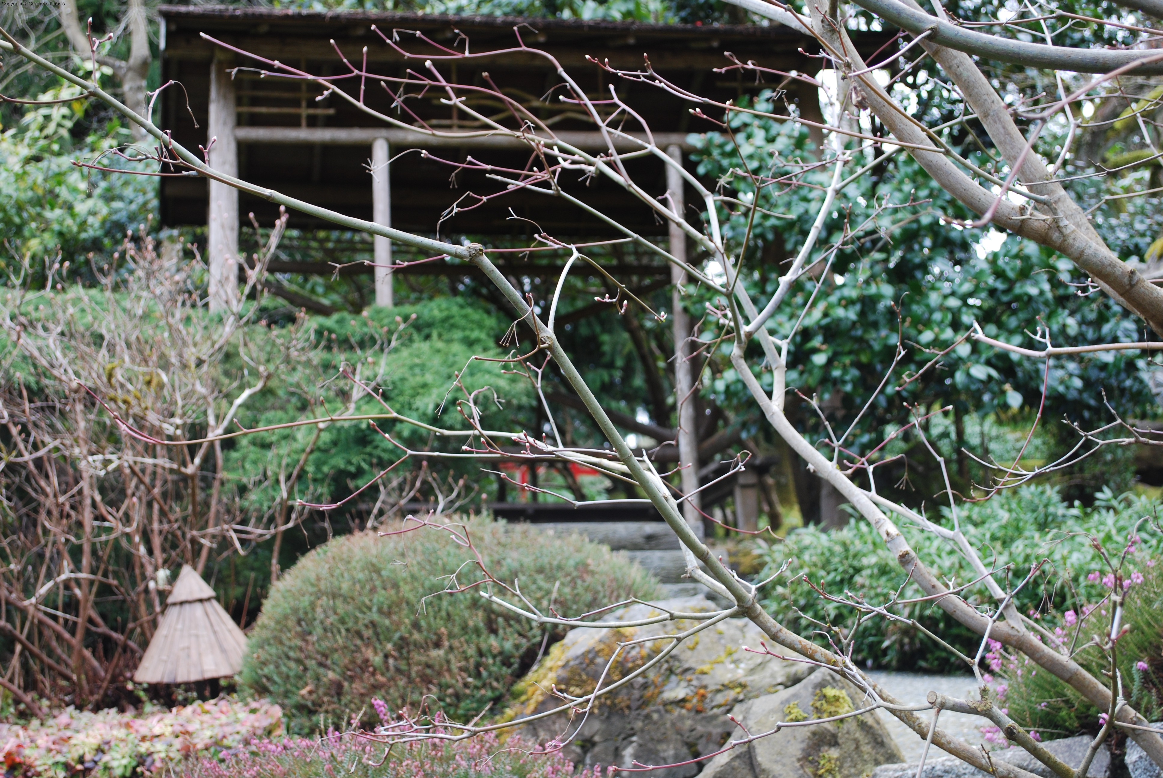 Tranquillity