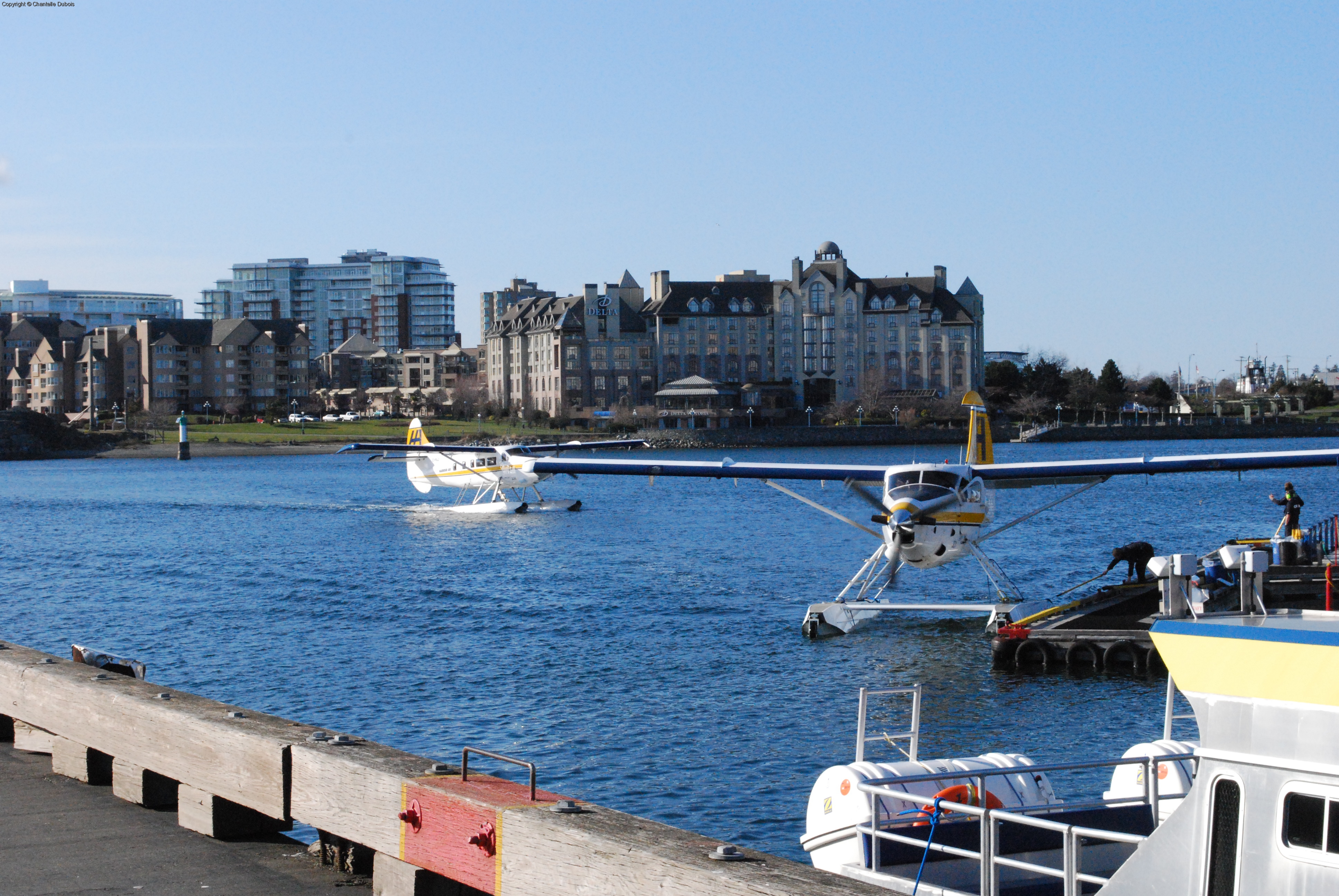 Harbour Walk 5