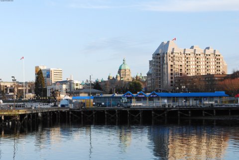 Harbour Walk 9