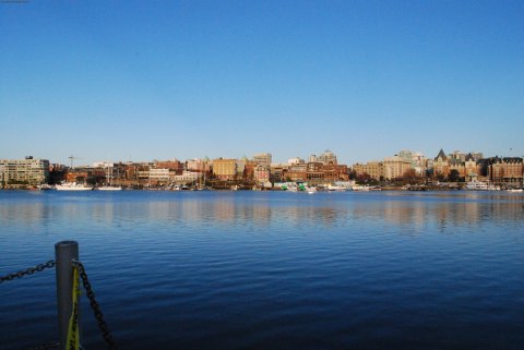 Harbour Walk 10