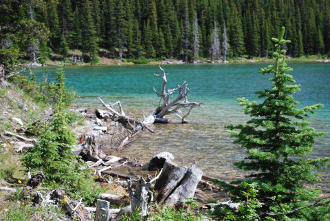 Elbow Lake 2
