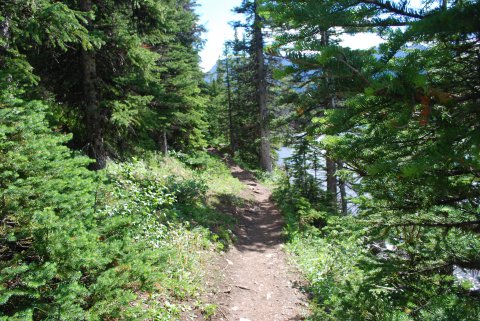 Elbow Lake Trail 7