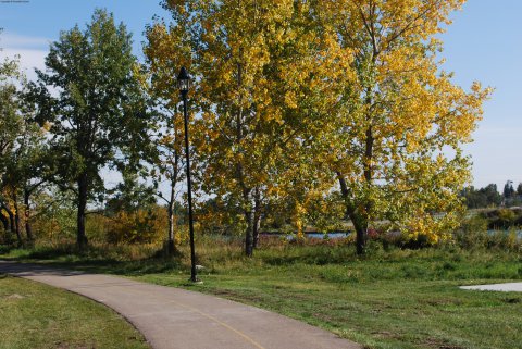 Paths by the Zoo