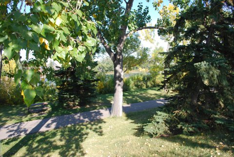 Still Summer, Almost Fall