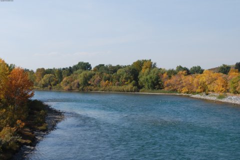 The Bow