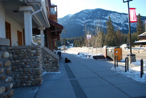 dsc_0027.jpg