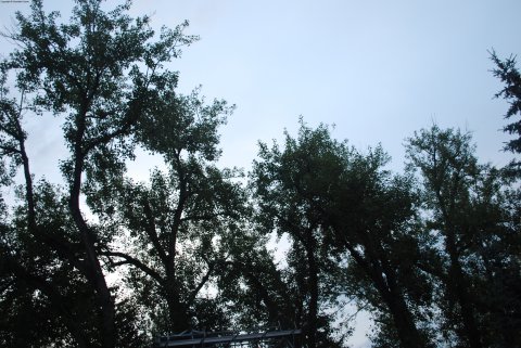 After the Rain