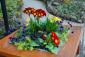 Bedding Out Plants
