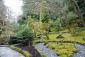 The Japanese Garden