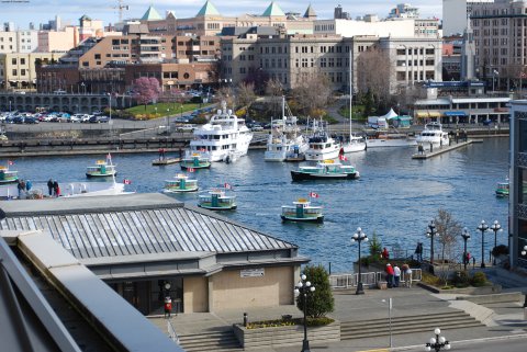 Ballet of the Harbour Boats