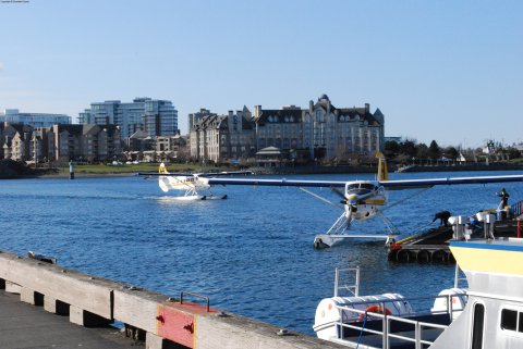 Harbour Walk 5