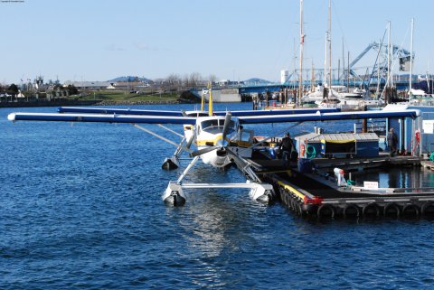 Harbour Walk 6